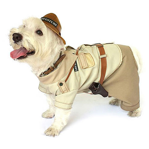 Funny Dog Halloween Costumes