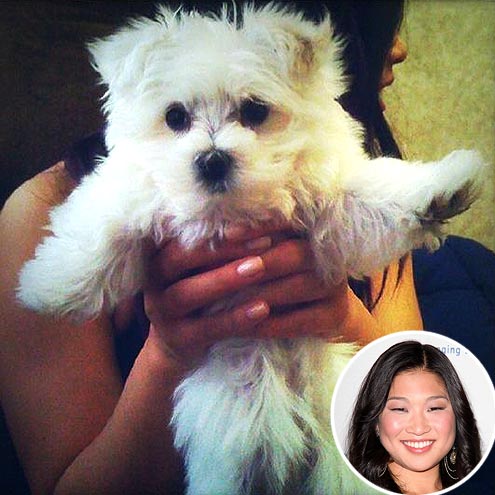 PAWS UP photo | Jenna Ushkowitz