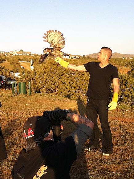 WING MAN photo | Mark Salling