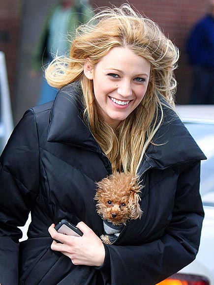 GUEST STAR photo | Blake Lively