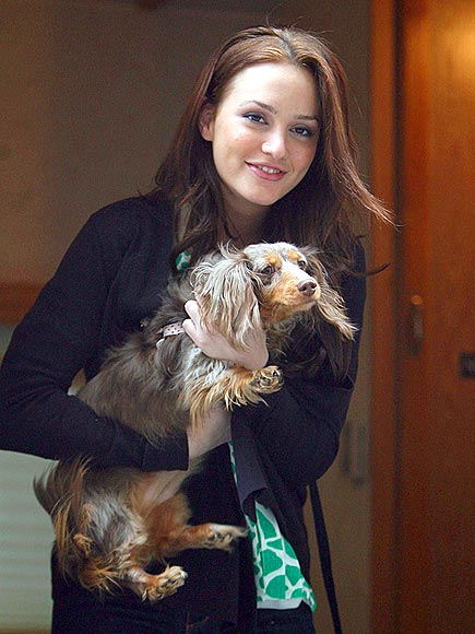 BEE'S KNEES photo | Leighton Meester