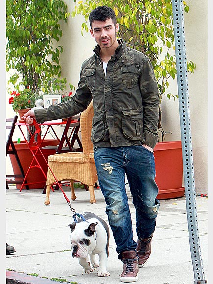CURBSIDE CUTIE photo | Joe Jonas