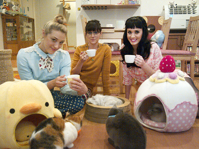MEOWS & MOCHA photo | Katy Perry