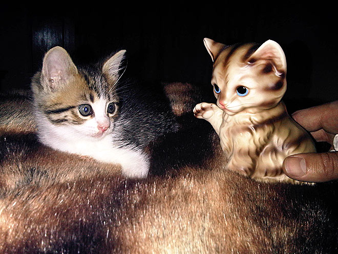 BABY MAKES THREE photo | Katy Perry