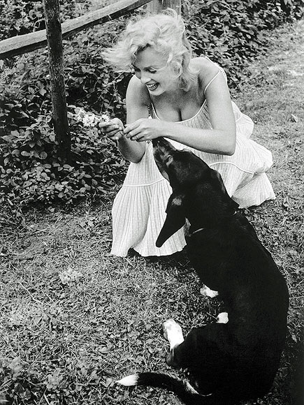 SPLENDOR IN THE GRASS photo | Marilyn Monroe