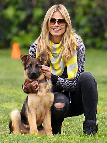 HEIDI KLUM  photo | Heidi Klum