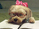 The World's Nerdiest Pets