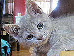 October's Cutest of the Cute!