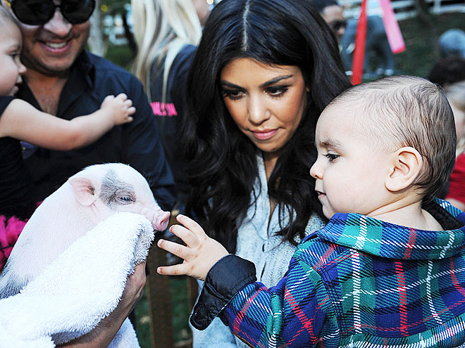 NOSE TO TAIL photo | Kourtney Kardashian