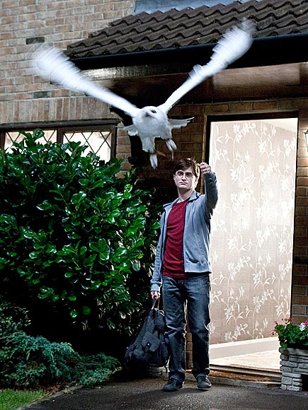Happy 25th Birthday, Daniel Radcliffe: 25 Things the Actor Doesn't Have in Common with Harry Potter| Harry Potter, Daniel Radcliffe
