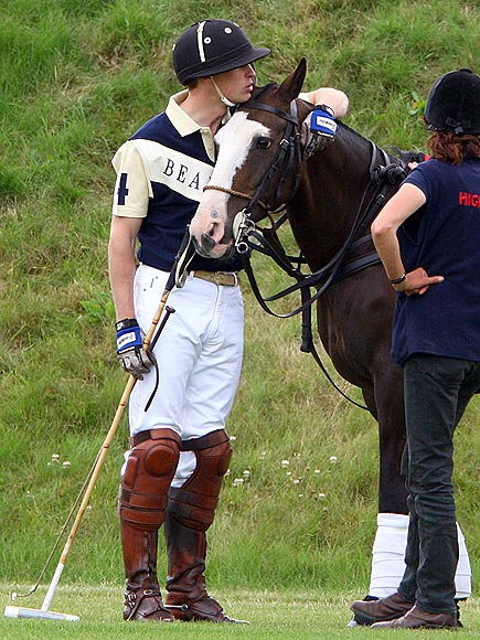 EQUINE KIND photo | Prince William