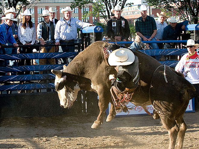 BUCKING BULL photo | Kate Middleton, Prince William