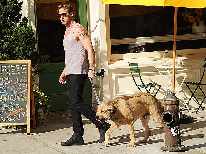 RYAN GOSLING photo | Ryan Gosling
