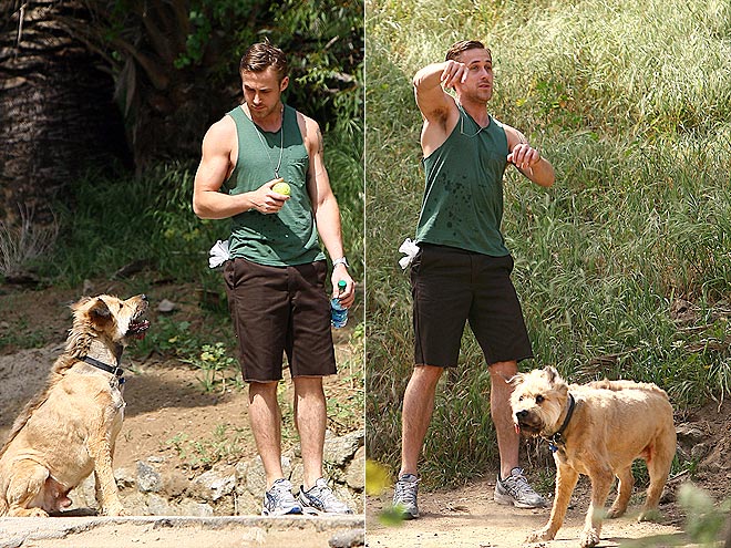 HOW FETCHING photo | Ryan Gosling