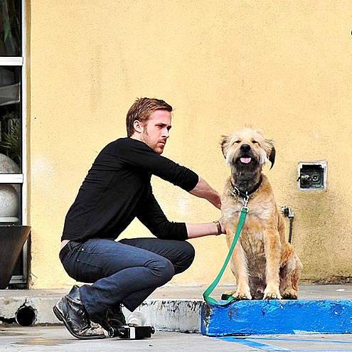 BACK RUB photo | Ryan Gosling