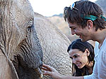 Stars Get Wild on Safari! | Ashton Kutcher, Demi Moore