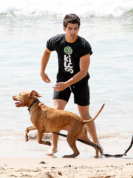 JOE JONAS photo | Joe Jonas