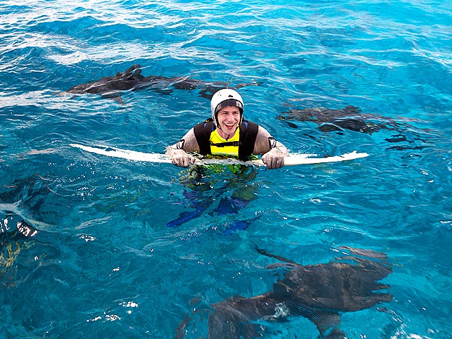 DIVE RIGHT IN photo | Andy Samberg