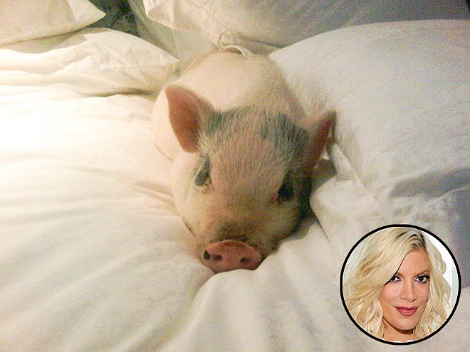 TORI SPELLING photo | Tori Spelling
