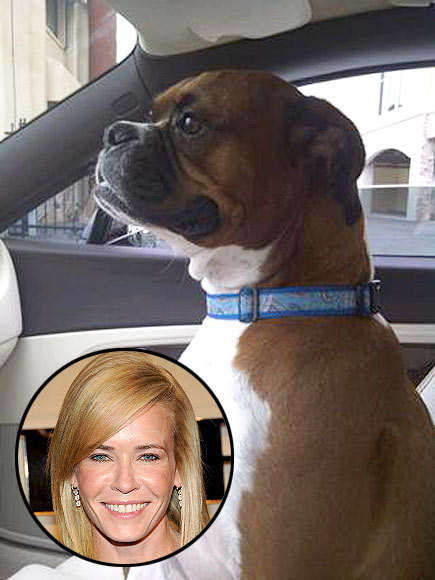 CHELSEA HANDLER photo | Chelsea Handler