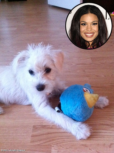 JORDIN SPARKS photo | Jordin Sparks