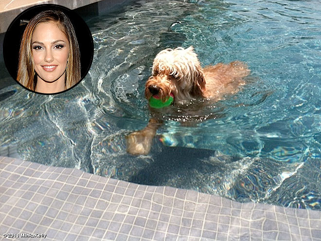 MINKA KELLY photo | Minka Kelly