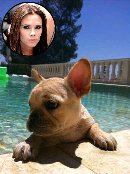 VICTORIA BECKHAM photo | Victoria Beckham