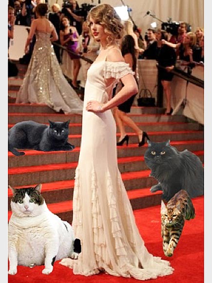 RED CARPET KITTIES photo | Taylor Swift