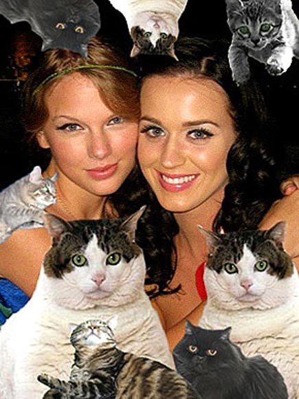 WACKY WHISKERS photo | Taylor Swift