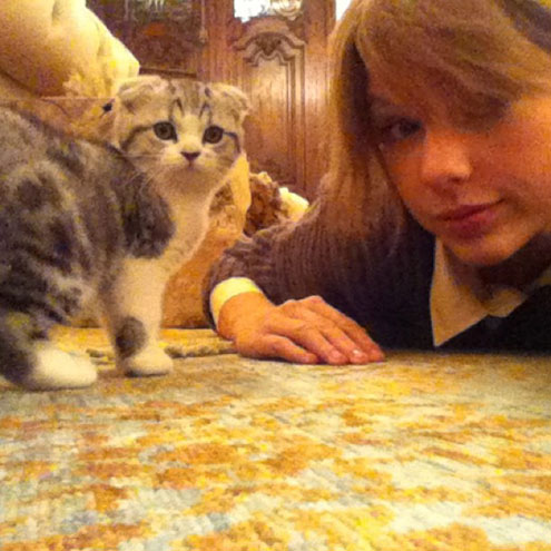 LOVE STORY photo | Taylor Swift