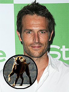Michael Vartan's Dog Loves His Fiancée's Pooch Like a 'Sister'
