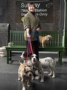 'Laverne & Shirley' Star Cindy Williams Puts Homeless Dogs in Spotlight