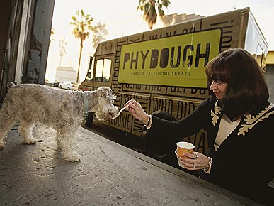 The Water Bowl: Japanese Pets Get 'Coming of Age' Parties! Plus, Jared Loughner Was a Shelter Volunteer