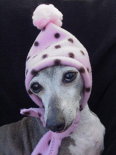 Etsy Fave! Cozy Hats (And Cowls) Can Keep Your Dog Warm