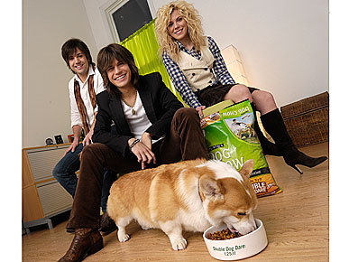 The Band Perry Has An 'Extended Family' – of Furry Brothers and Sisters!