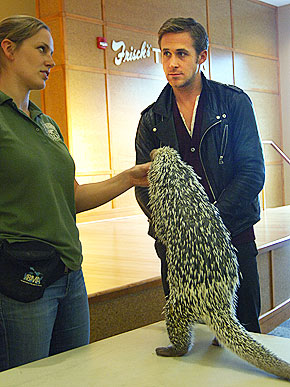 Robert Pattinson Circumcised on Robert Pattinson Biography