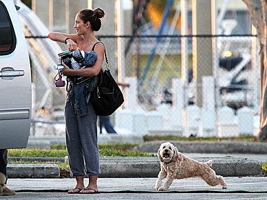 Minka Kelly's Pooch Is a Downward-Facing Dog