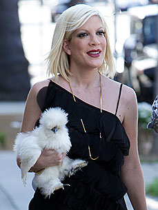 Spotted: Tori Spelling Goes on a Chicken Run