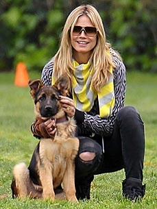 Heidi Klum: Having Dogs Is Like Having Babies