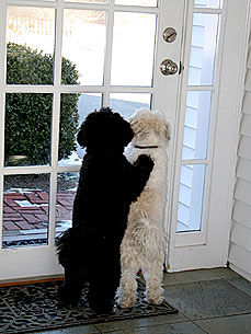 Congrats, Abby! You Win This Week's Caption Contest