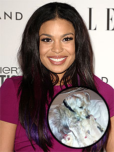 Puppy Update: Jordin Sparks Has Bonded with the Runt