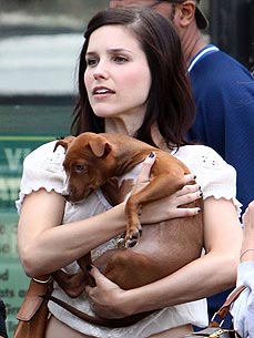 Sophia Bush: My Rescue Pits Are the 'Loves of My Life'