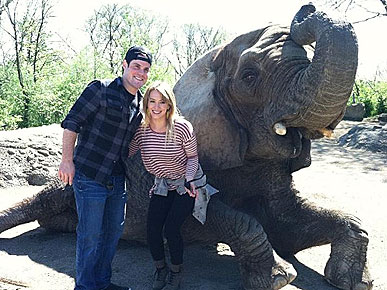 Spotted: Hilary Duff and Mike Comrie Get Friendly with an Elephant