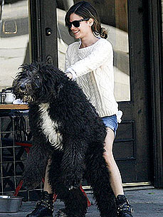 Jetsetting Rachel Bilson Can't Wait to Get Home to Her Dogs