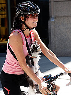 Doggie Joy Ride! Chihuahua Goes Biking