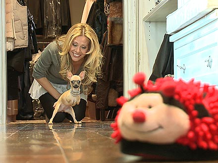 Real Housewives of New Jersey's Dina Manzo Adopts Two-Legged Dog