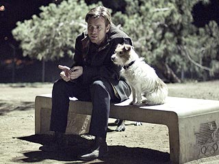Ewan McGregor Falls in Love with a Co-Star (on Four Legs)| Stars and Pets, Dogs, Ewan McGregor