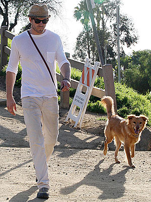 who is ryan reynolds dating. Ryan Reynolds Can#39;t Do Dog