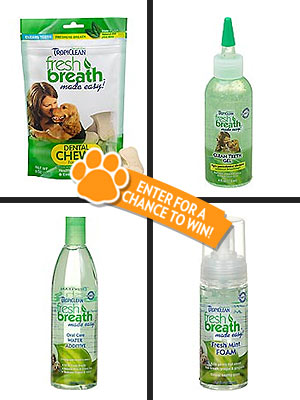 Giveaway! People Pets Daily Prize Pack Sweepstakes