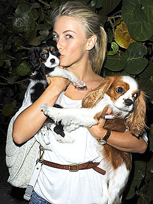 Tom Cruise Is Fan of Julianne Hough's Puppy